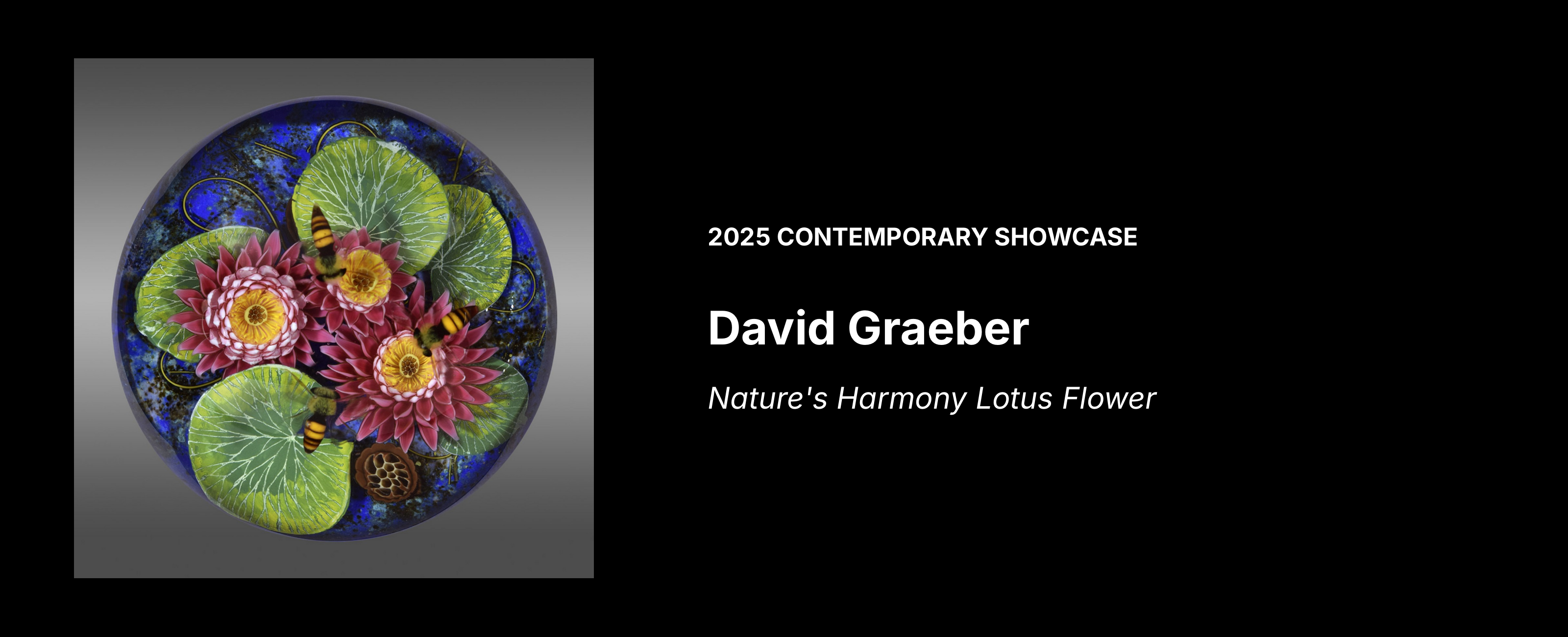 David Graeber — Nature's Harmony Lotus Flower